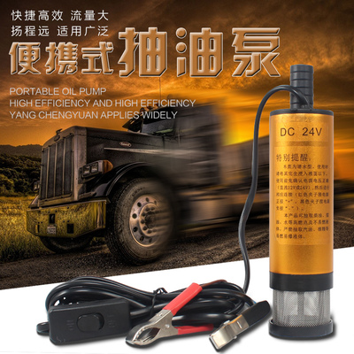家用車(chē)載魚(yú)缸微型抽油泵電動(dòng)12V24V機(jī)油油泵柴油小型抽水泵水磅機(jī)